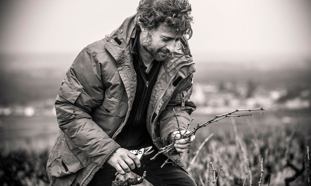 West Palm Wine Co. Grower Profile: Domaine Chignard