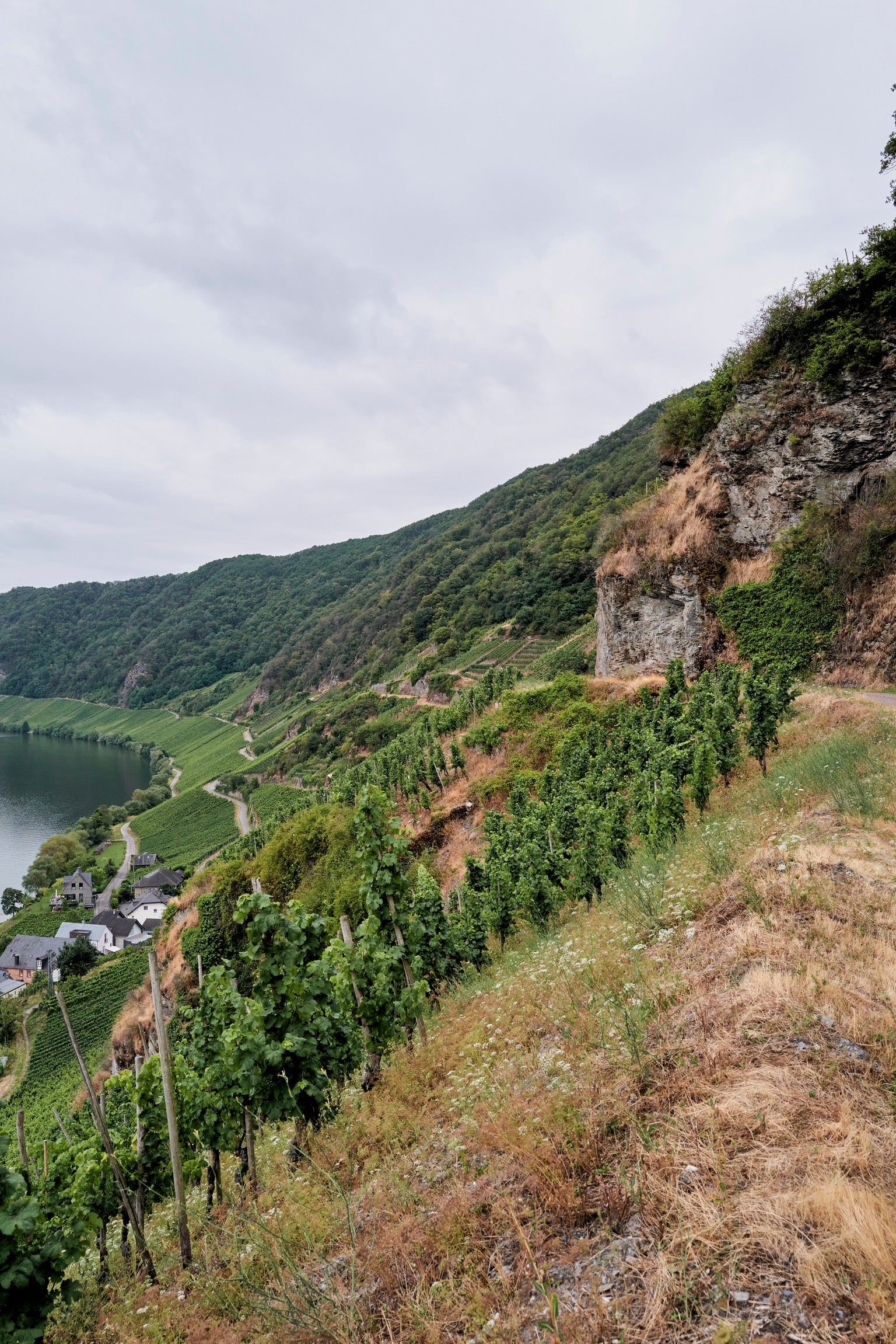Julian and Nadine Haart's Vineyard