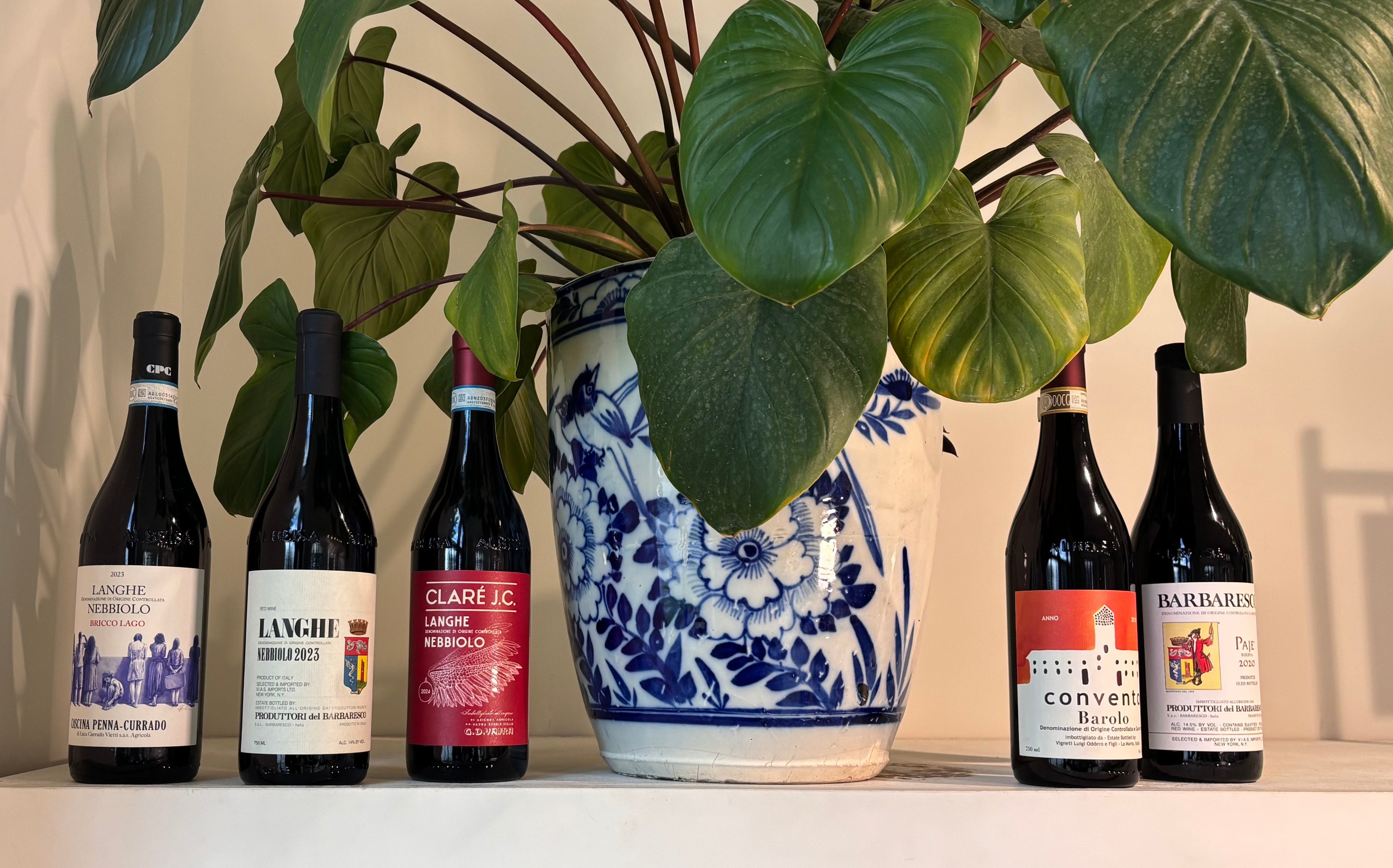 Piedmont: Where Ancient Soils Meet Timeless Tradition
