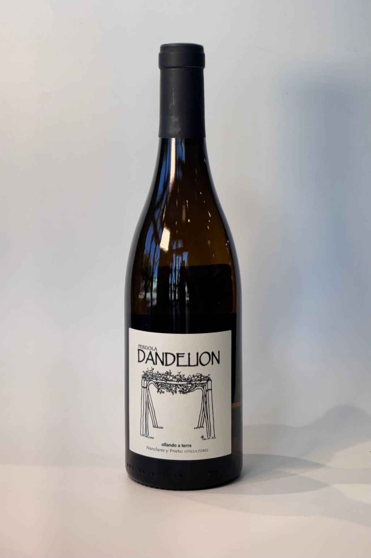 2025 Nanclares y Prieto Dandelion Albarino