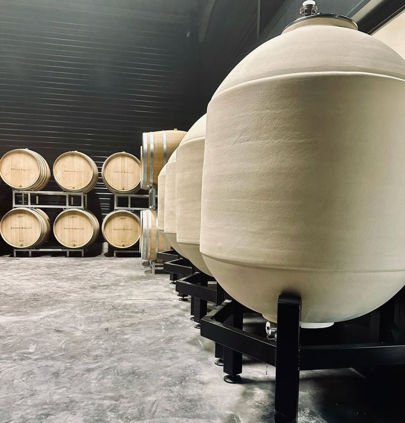 West Palm Wine Co. Grower Profile: Domaine Arnaud Baillot