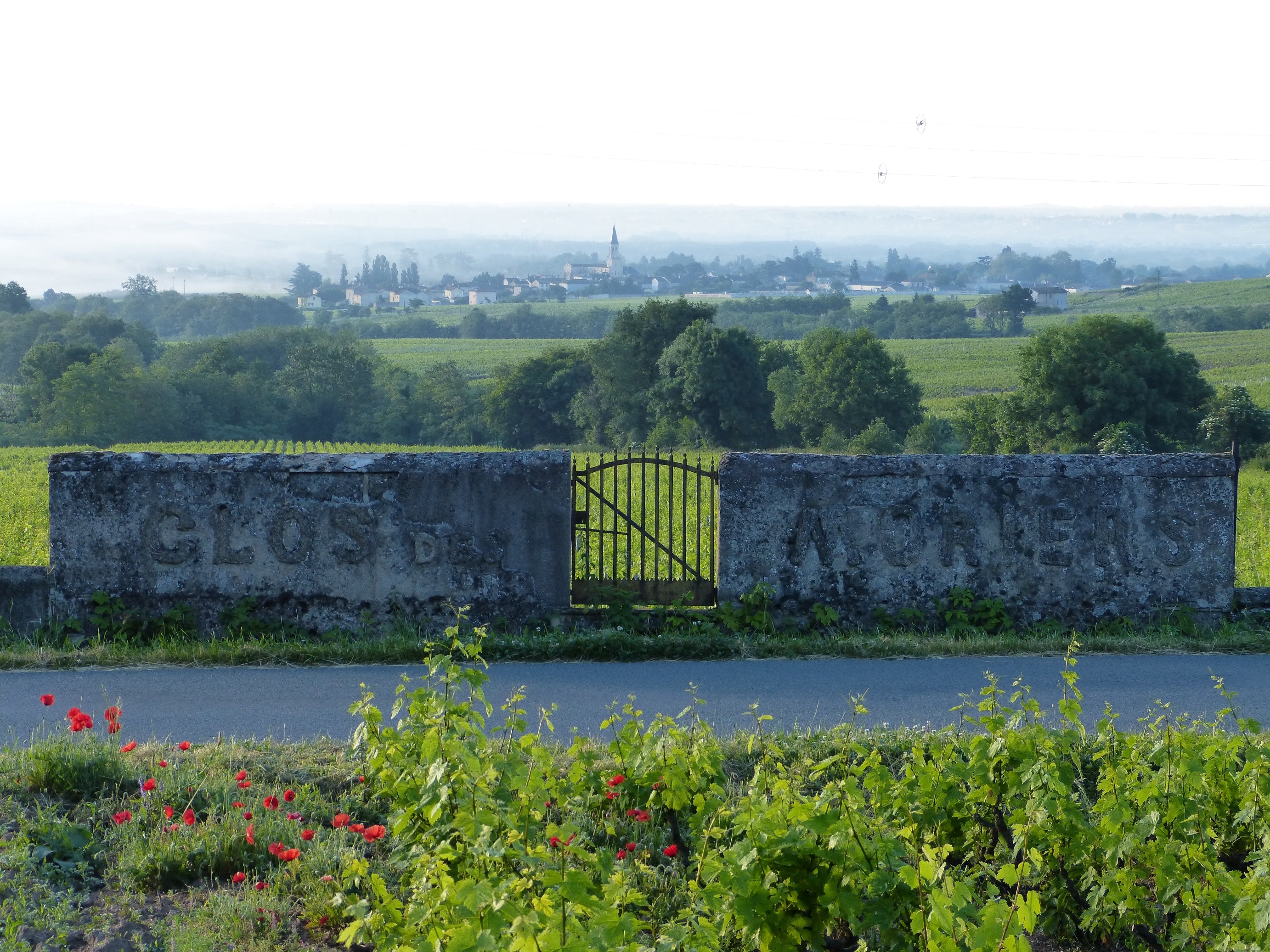 West Palm Wine Co. Grower Profile: Domaine Chignard