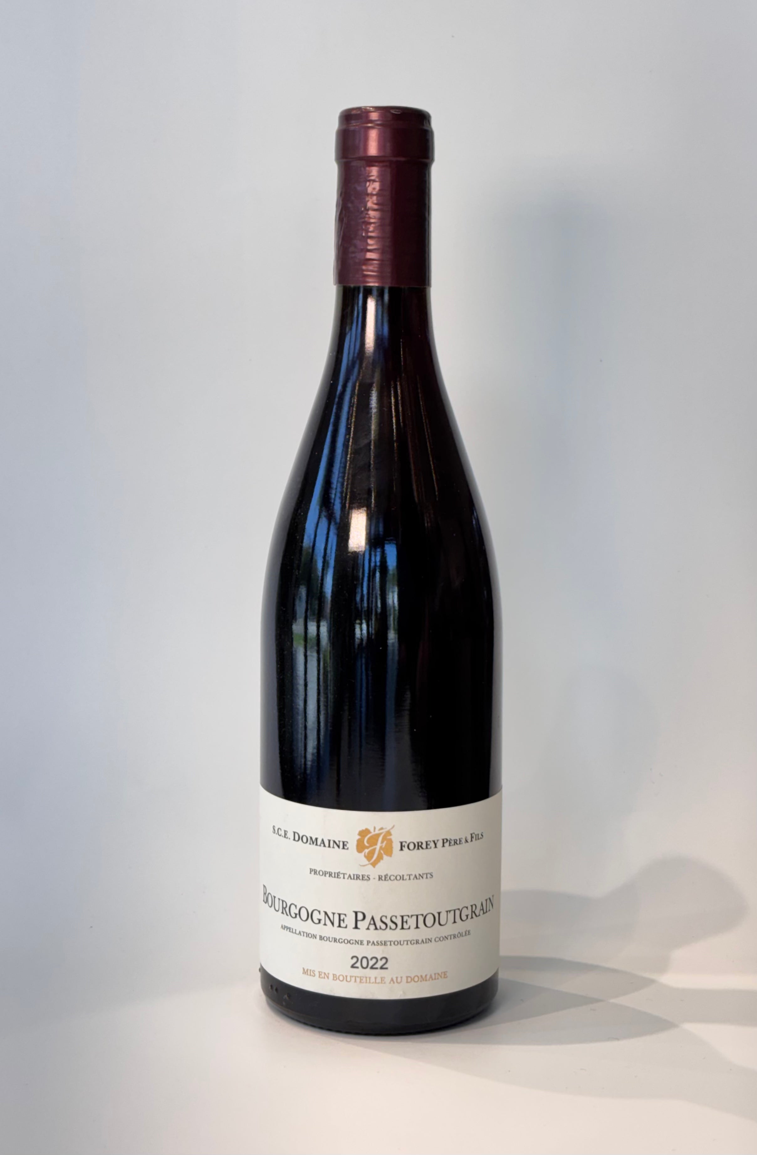 2022 Domaine Forey Bourgogne Passetoutgrain
