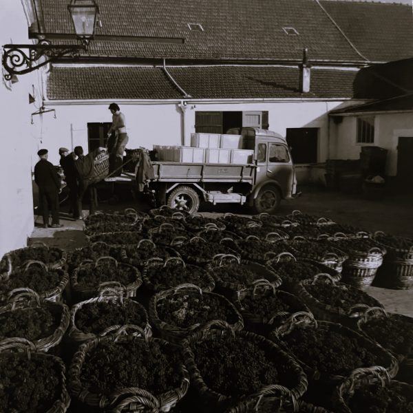 West Palm Wine Co. Grower Profile: Gaston Chiquet