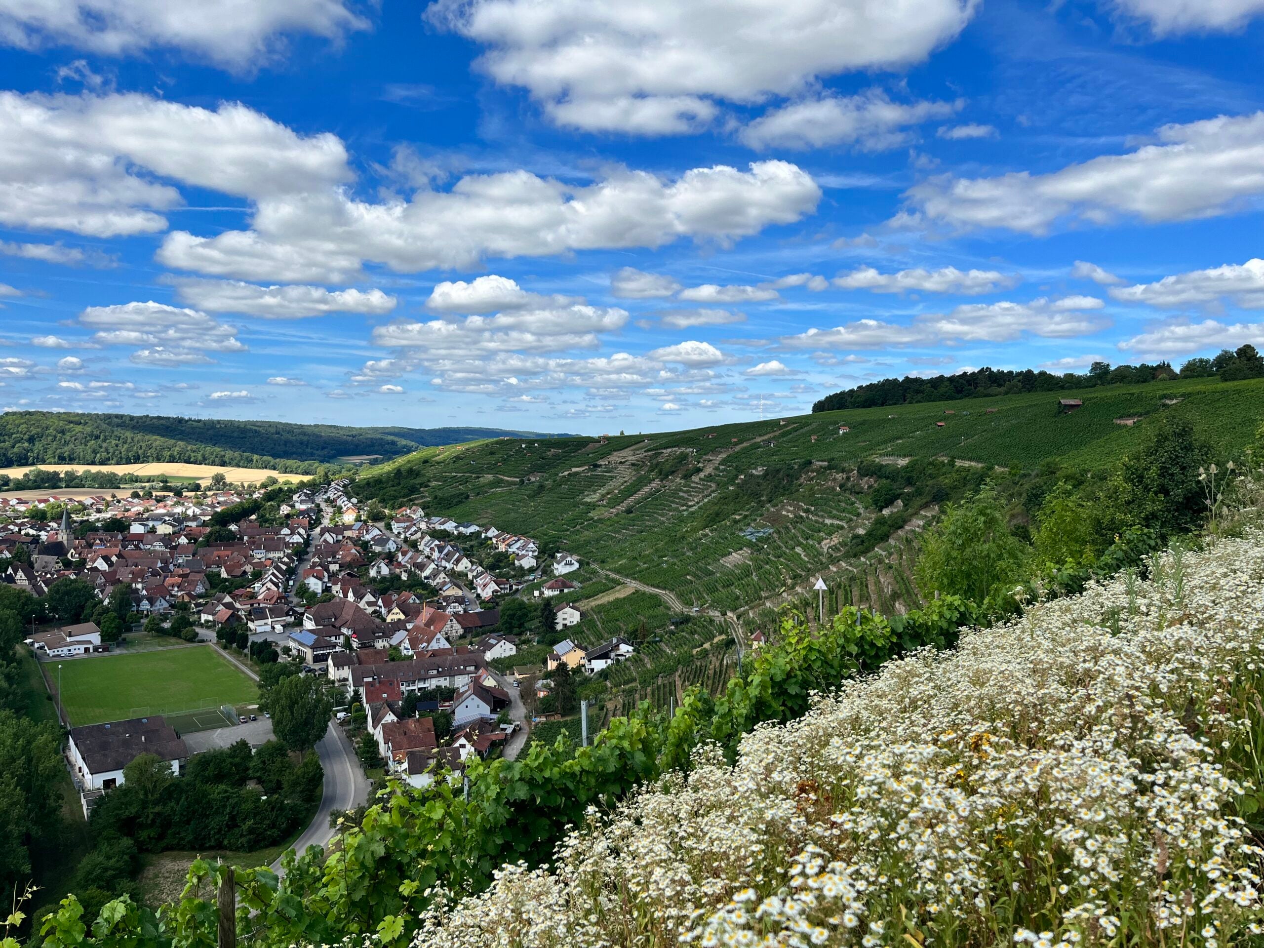 Roterfaden vineyards