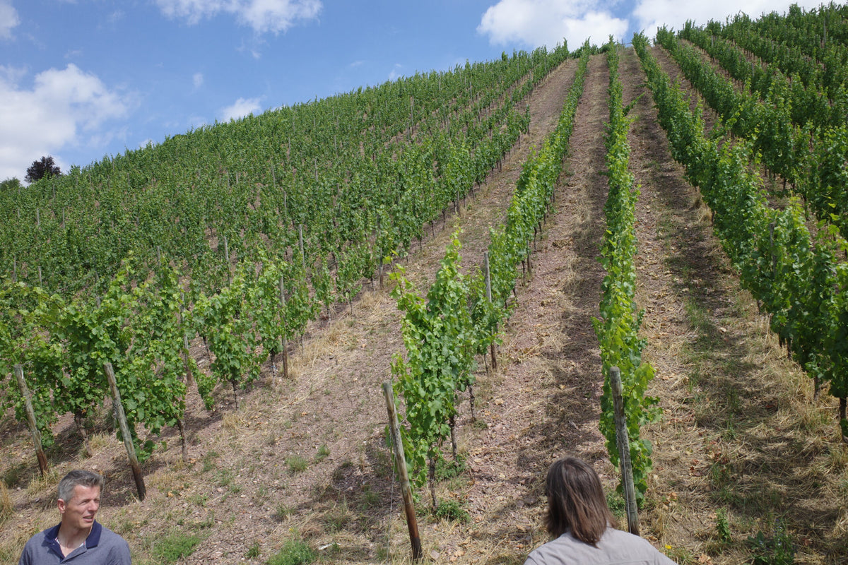 2025 Emrich-Schönleber Riesling Estate Trocken