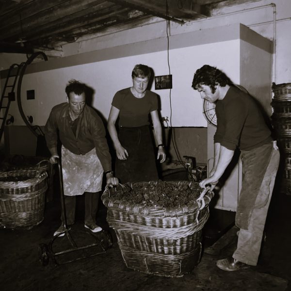 West Palm Wine Co. Grower Profile: Gaston Chiquet